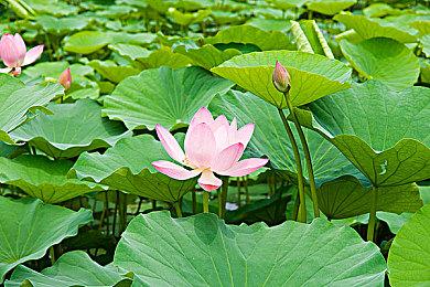 太空射击游戏《永恒空间2》“入侵”更新上线 升级至虚幻引擎5